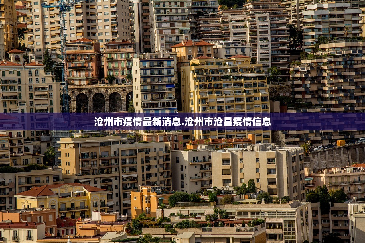 沧州市疫情最新消息.沧州市沧县疫情信息