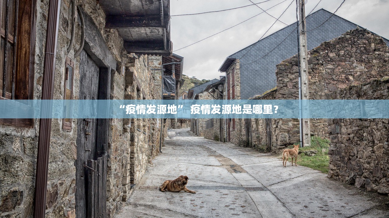 “疫情发源地	” 疫情发源地是哪里？