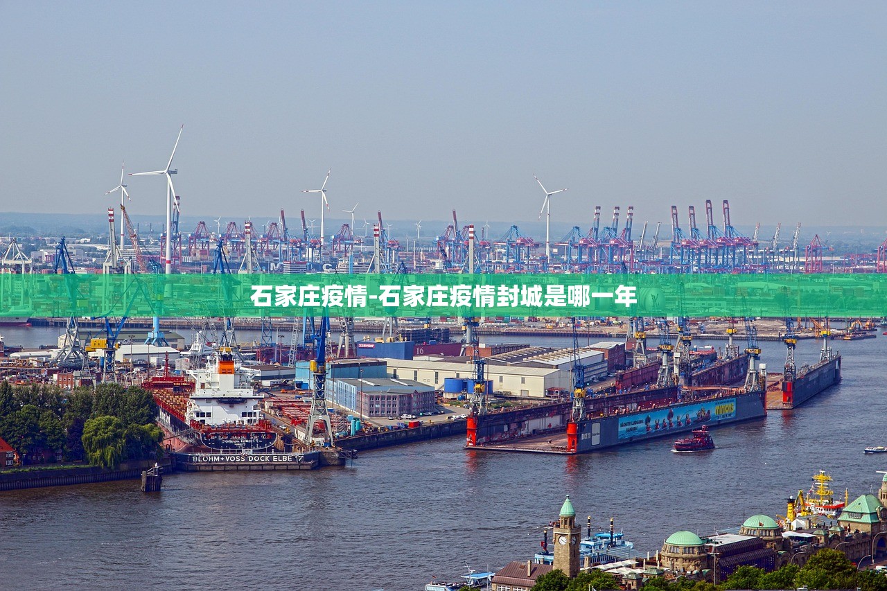 石家庄疫情-石家庄疫情封城是哪一年