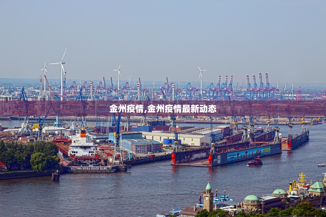 金州疫情,金州疫情最新动态 金州疫情,金州疫情最新动态