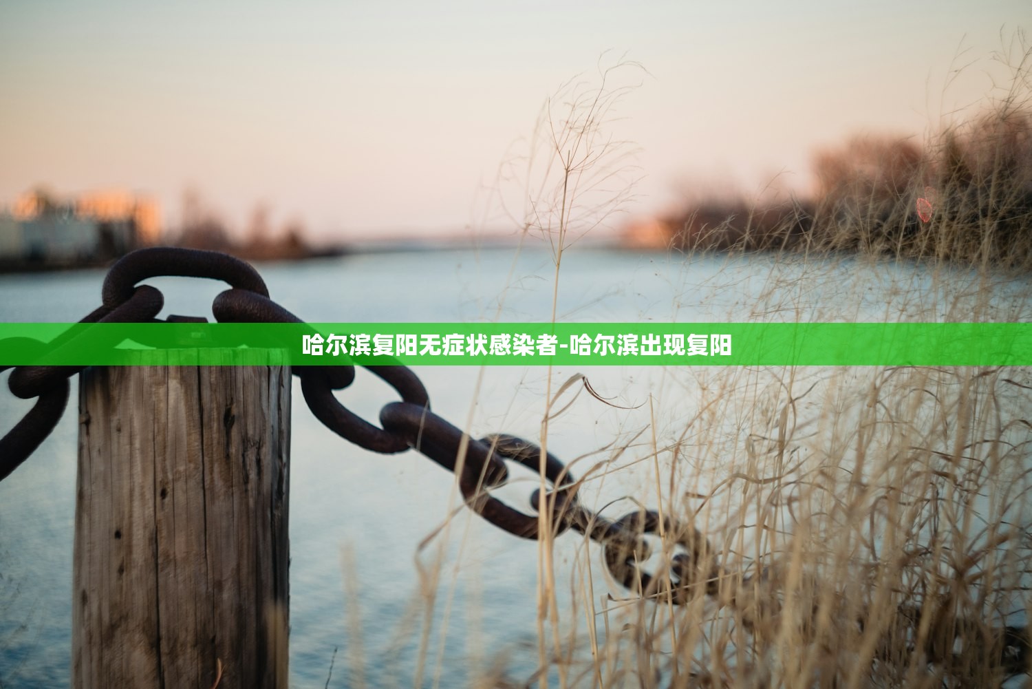 哈尔滨复阳无症状感染者-哈尔滨出现复阳