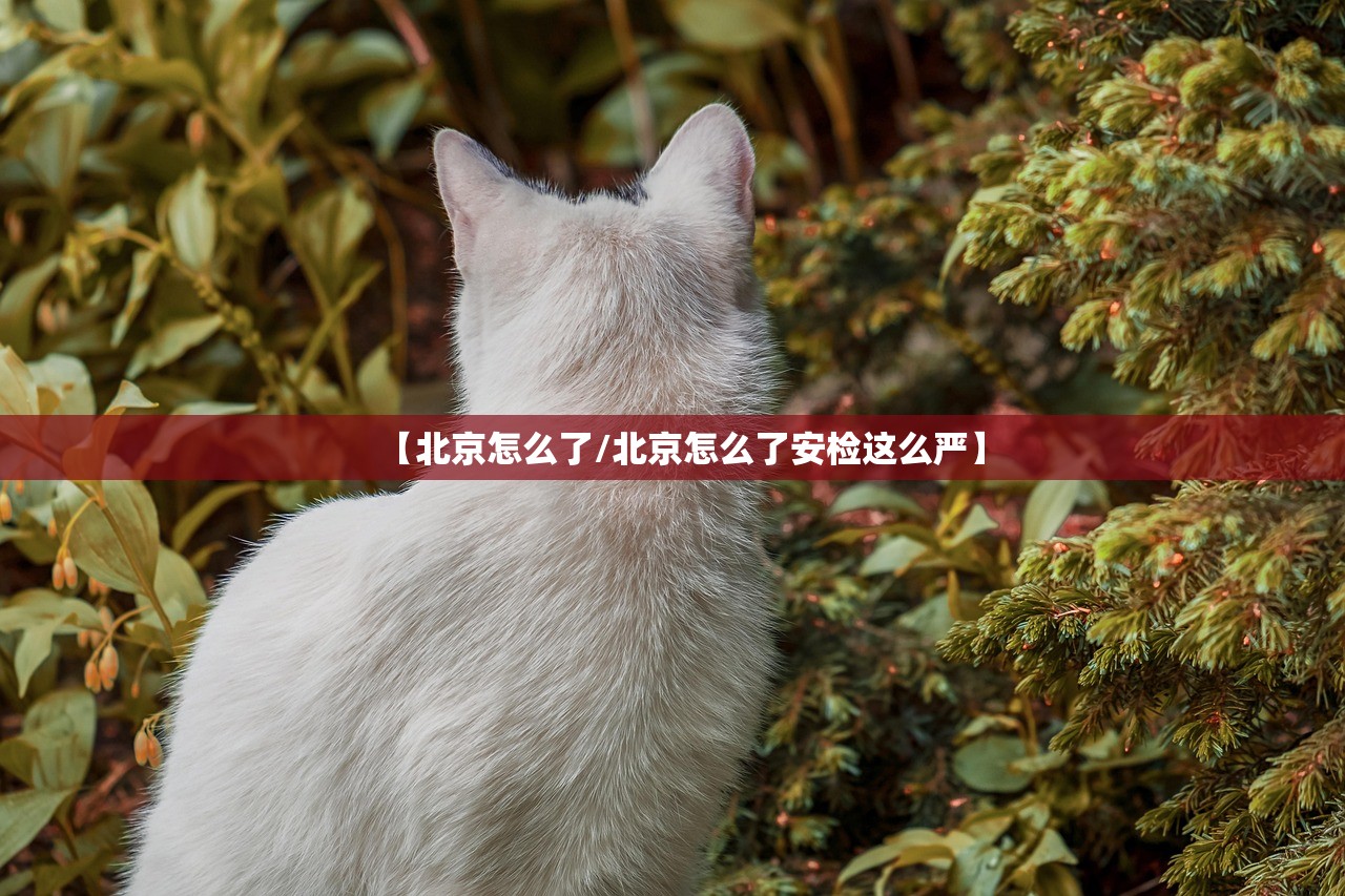 【北京怎么了/北京怎么了安检这么严】 【北京怎么了/北京怎么了安检这么严】