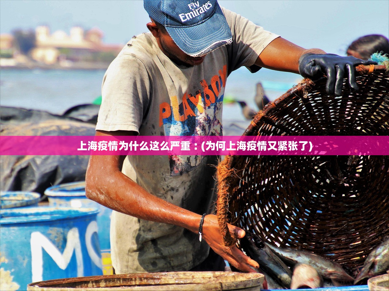 上海疫情为什么这么严重︰(为何上海疫情又紧张了)