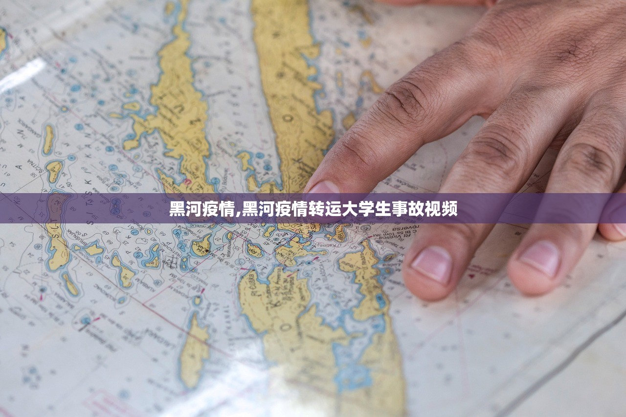黑河疫情,黑河疫情转运大学生事故视频 黑河疫情,黑河疫情转运大学生事故视频
