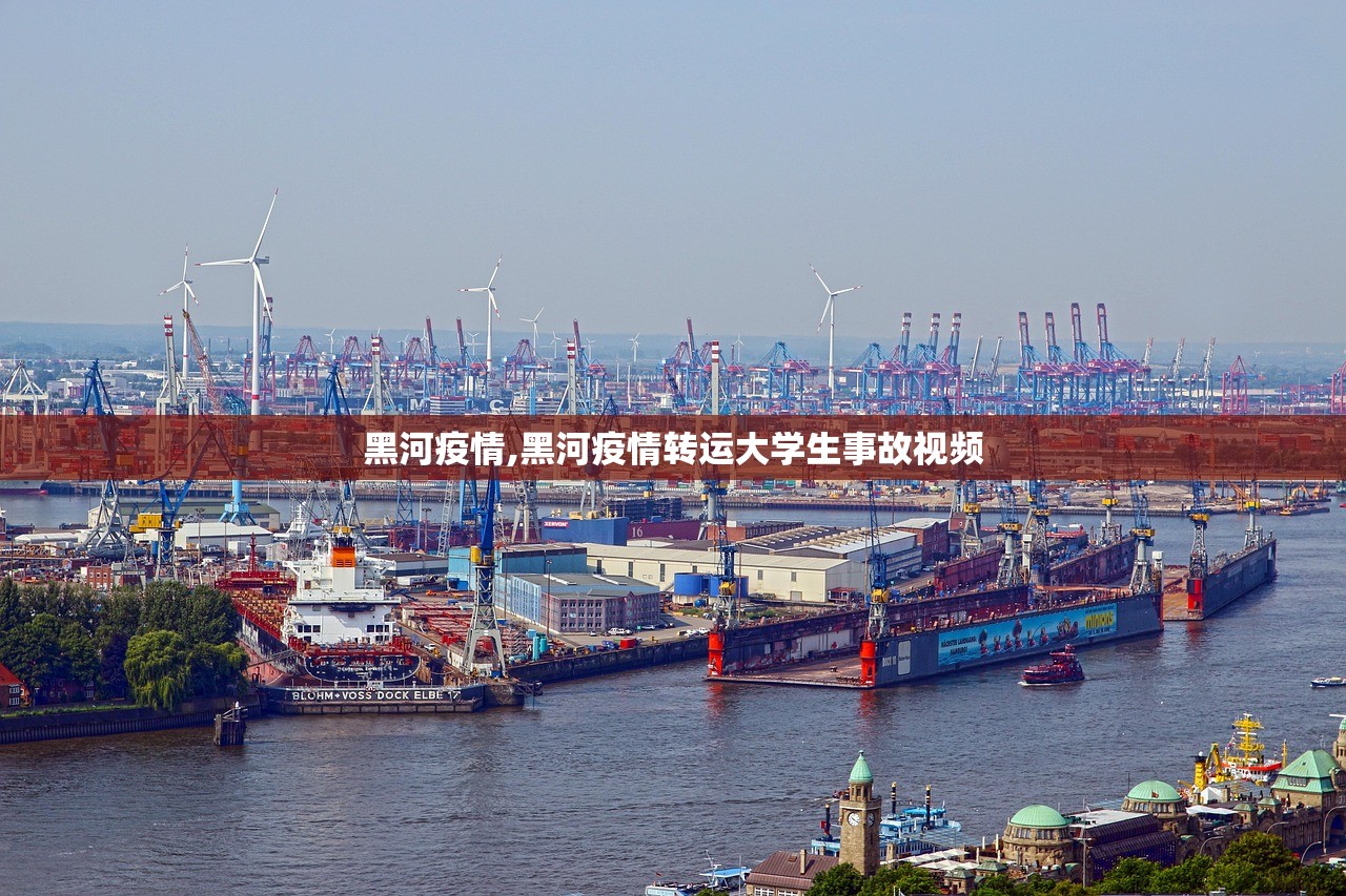 黑河疫情,黑河疫情转运大学生事故视频 黑河疫情,黑河疫情转运大学生事故视频