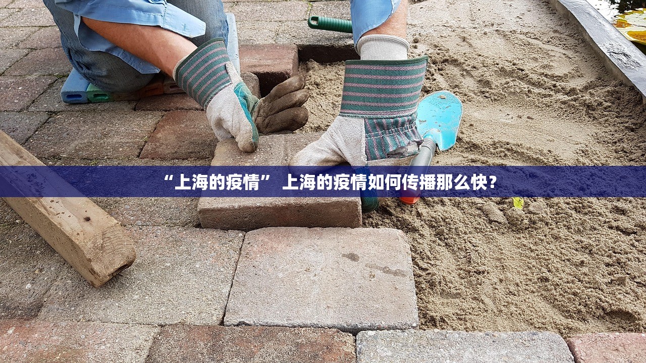 “上海的疫情” 上海的疫情如何传播那么快？