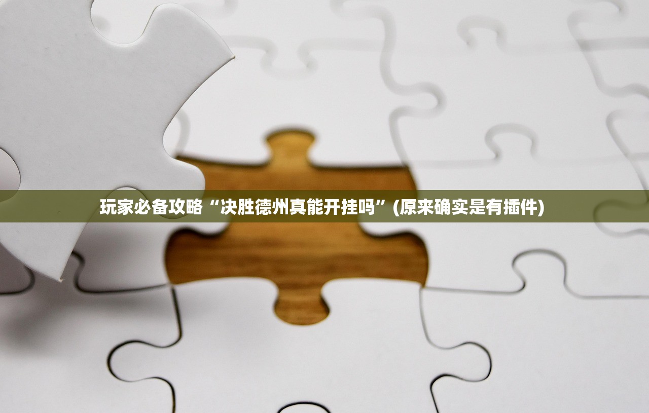玩家必备攻略“决胜德州真能开挂吗	”(原来确实是有插件) 