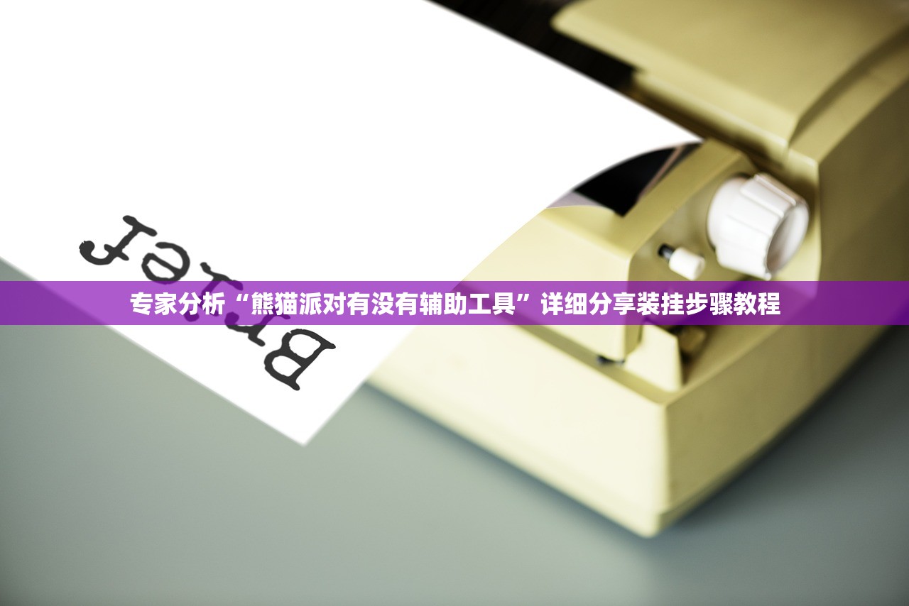 专家分析“熊猫派对有没有辅助工具”详细分享装挂步骤教程