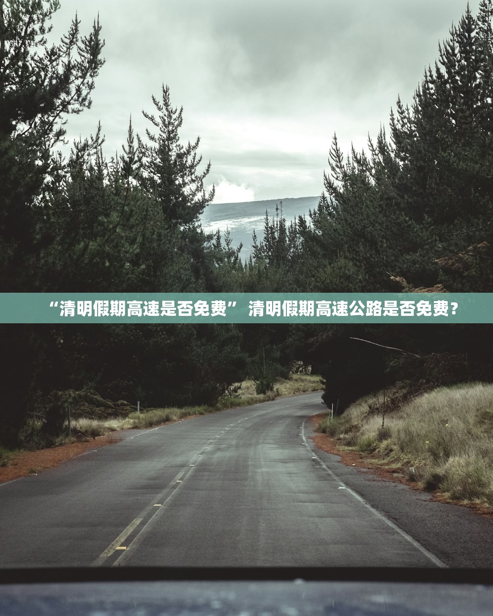 “清明假期高速是否免费” 清明假期高速公路是否免费？
