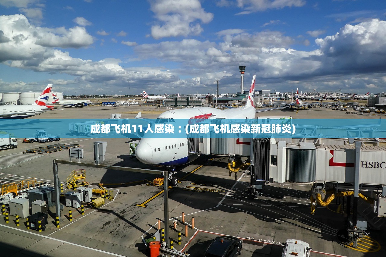 成都飞机11人感染︰(成都飞机感染新冠肺炎)