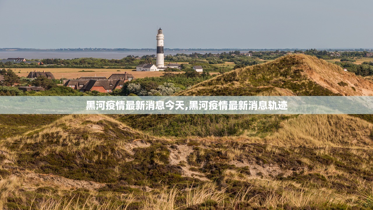 黑河疫情最新消息今天,黑河疫情最新消息轨迹