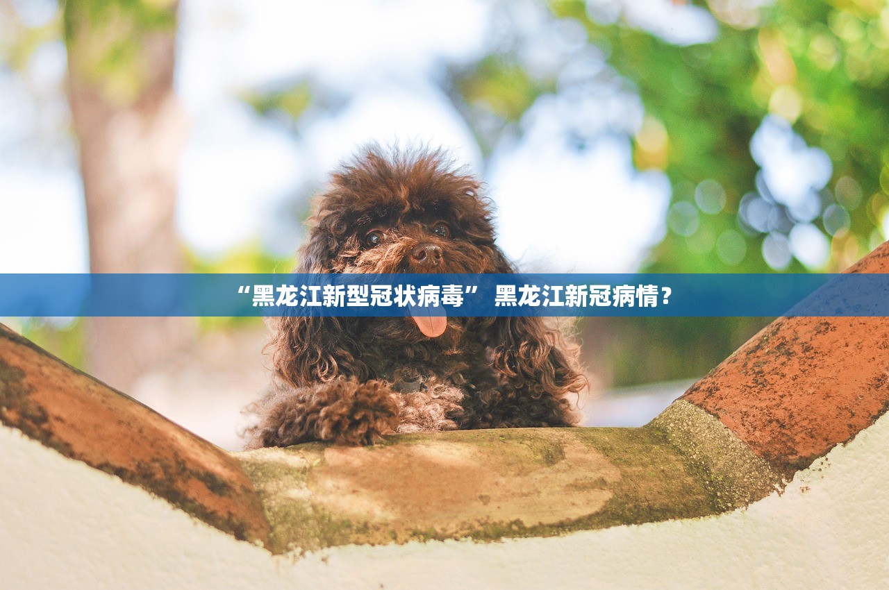 “黑龙江新型冠状病毒” 黑龙江新冠病情？