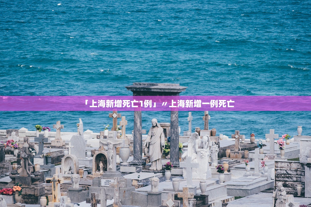 「上海新增死亡1例」〃上海新增一例死亡