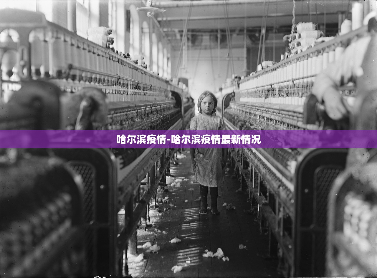 哈尔滨疫情-哈尔滨疫情最新情况