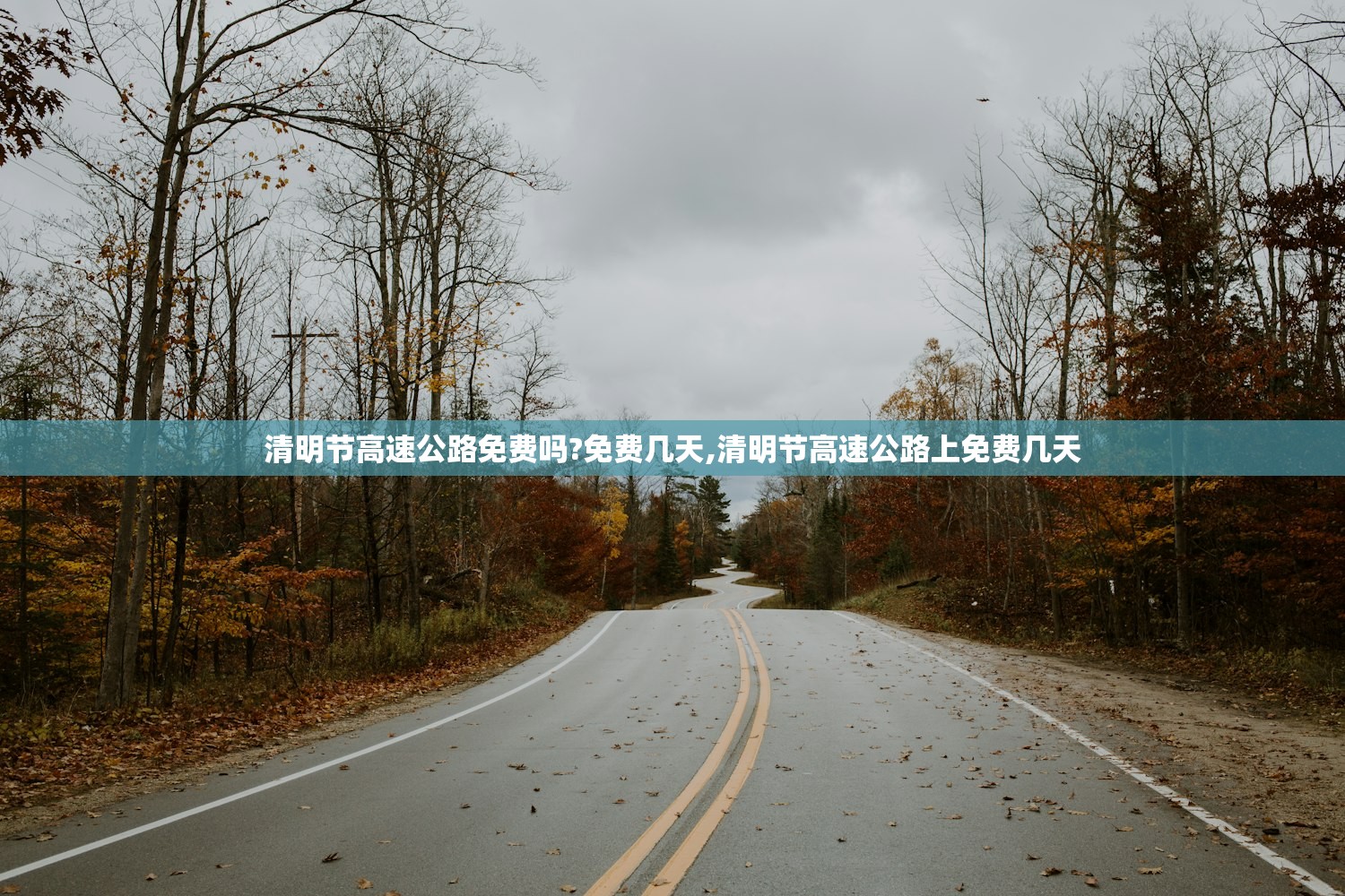 清明节高速公路免费吗?免费几天,清明节高速公路上免费几天
