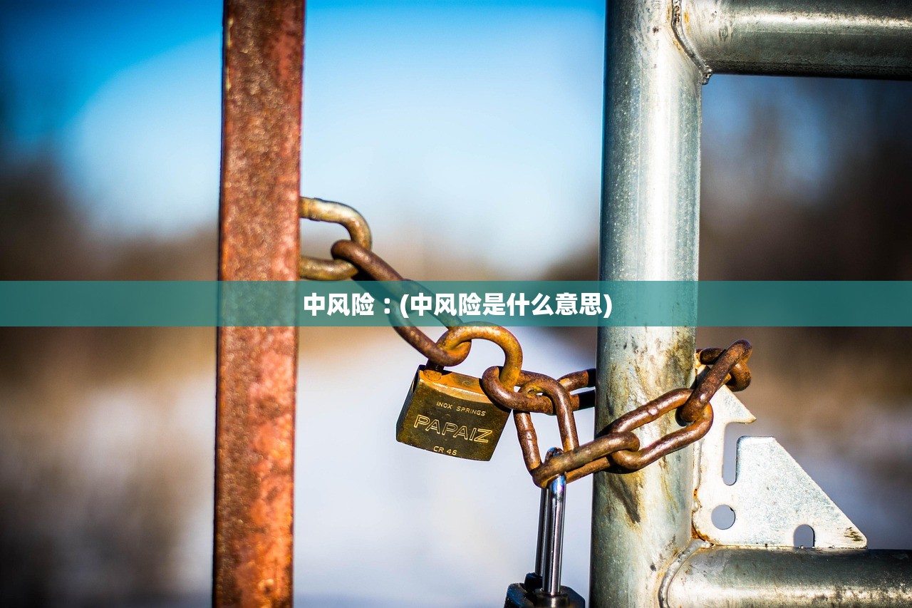 中风险︰(中风险是什么意思)