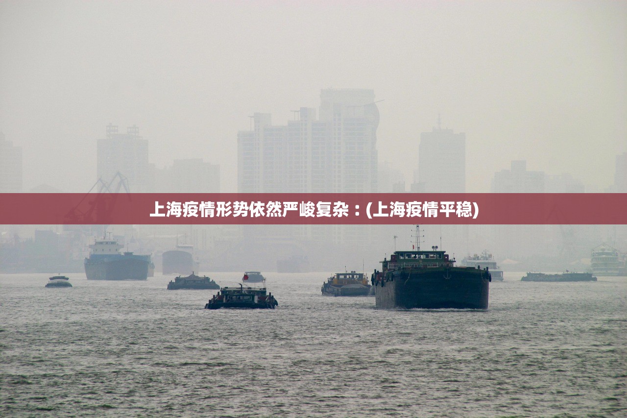 上海疫情形势依然严峻复杂︰(上海疫情平稳)