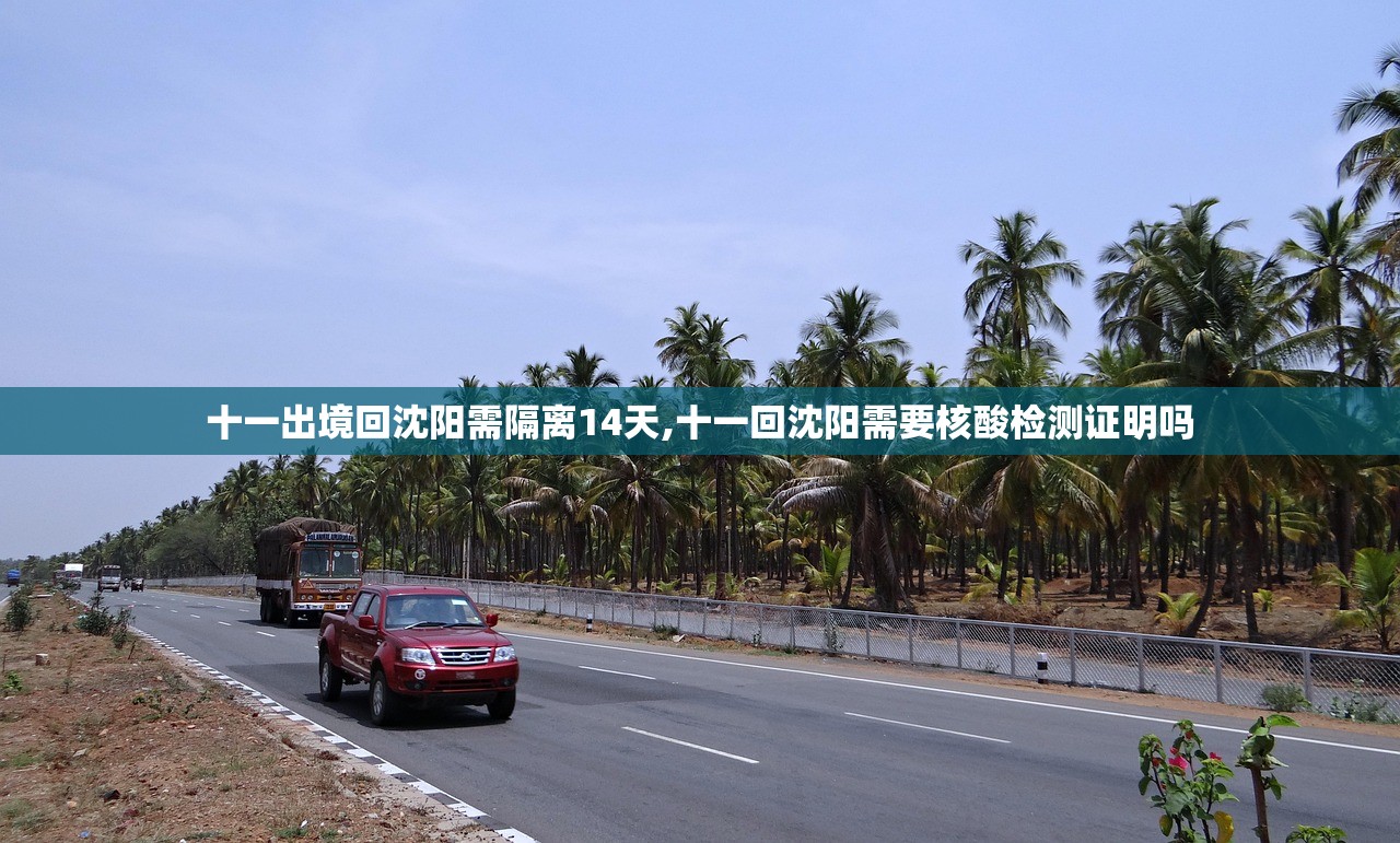 十一出境回沈阳需隔离14天,十一回沈阳需要核酸检测证明吗