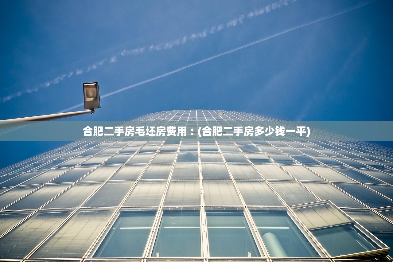 合肥二手房毛坯房费用︰(合肥二手房多少钱一平)