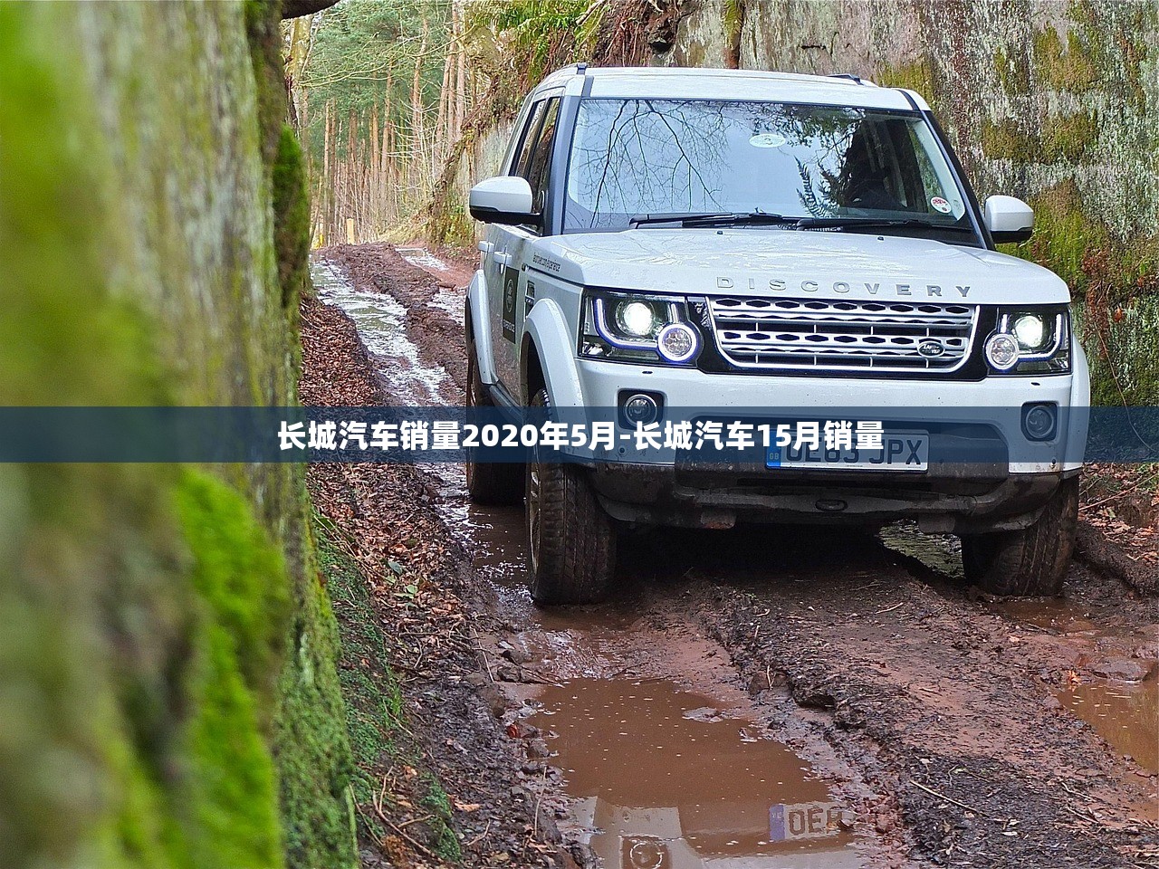 长城汽车销量2020年5月-长城汽车15月销量