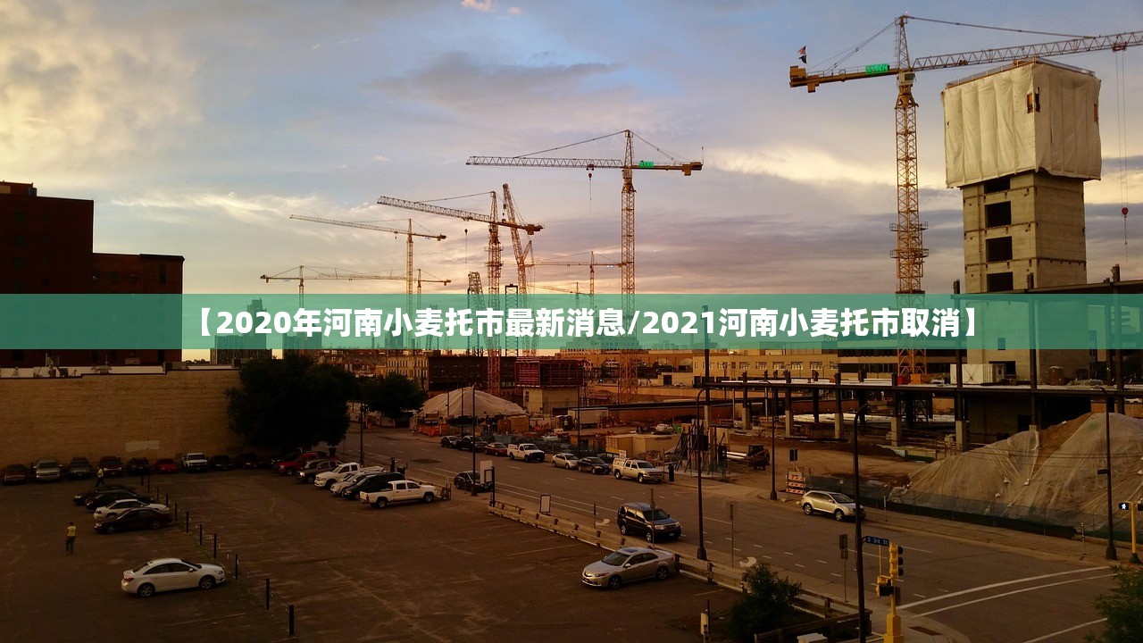 【2020年河南小麦托市最新消息/2021河南小麦托市取消】