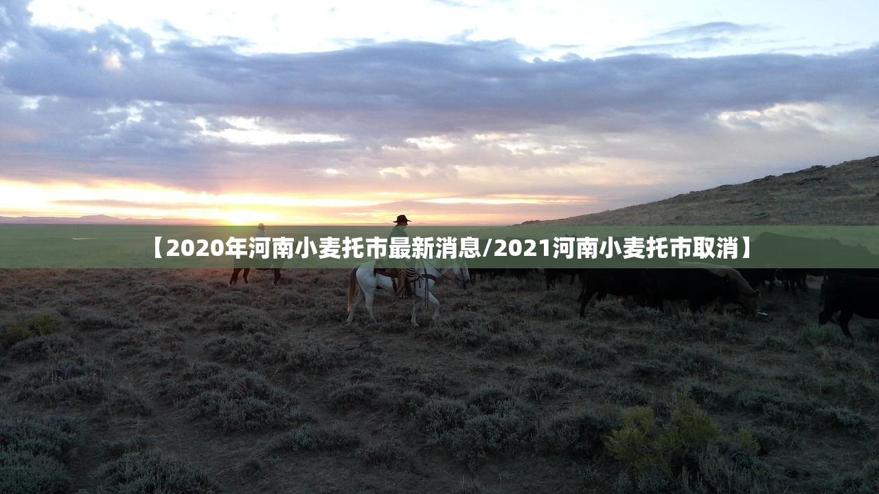 【2020年河南小麦托市最新消息/2021河南小麦托市取消】