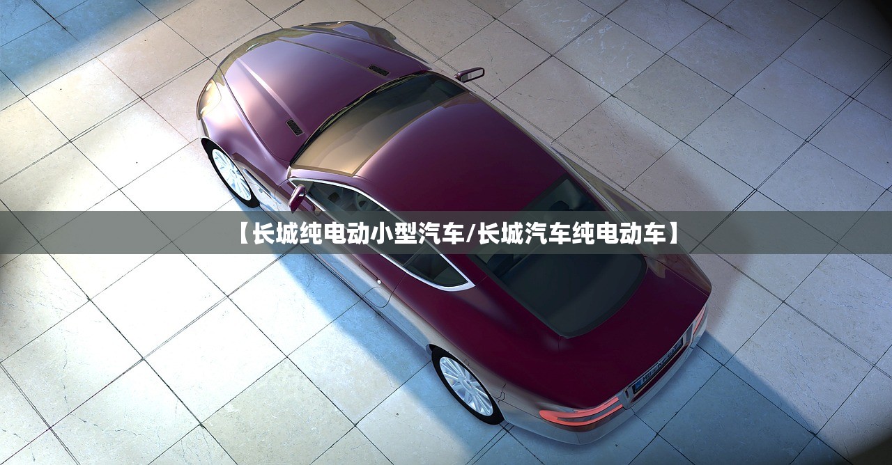 【长城纯电动小型汽车/长城汽车纯电动车】
