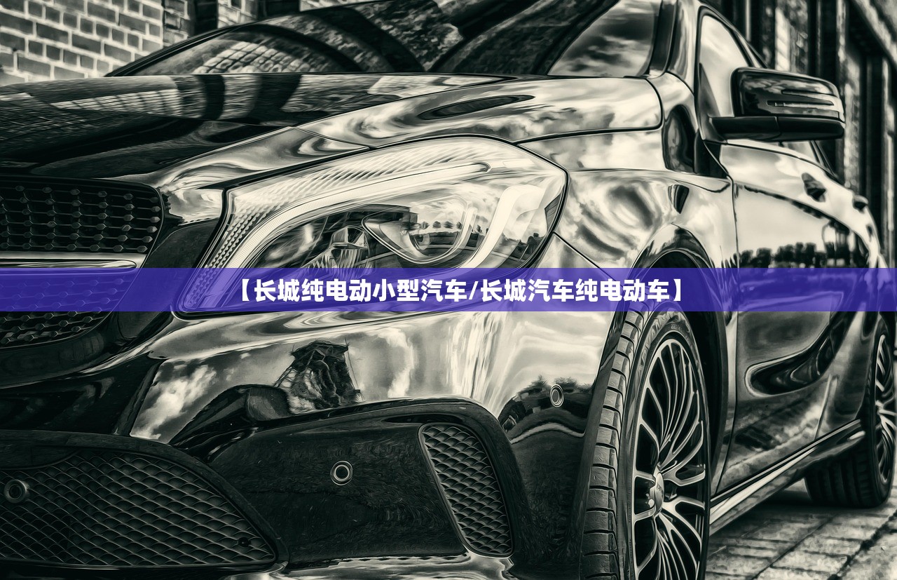 【长城纯电动小型汽车/长城汽车纯电动车】