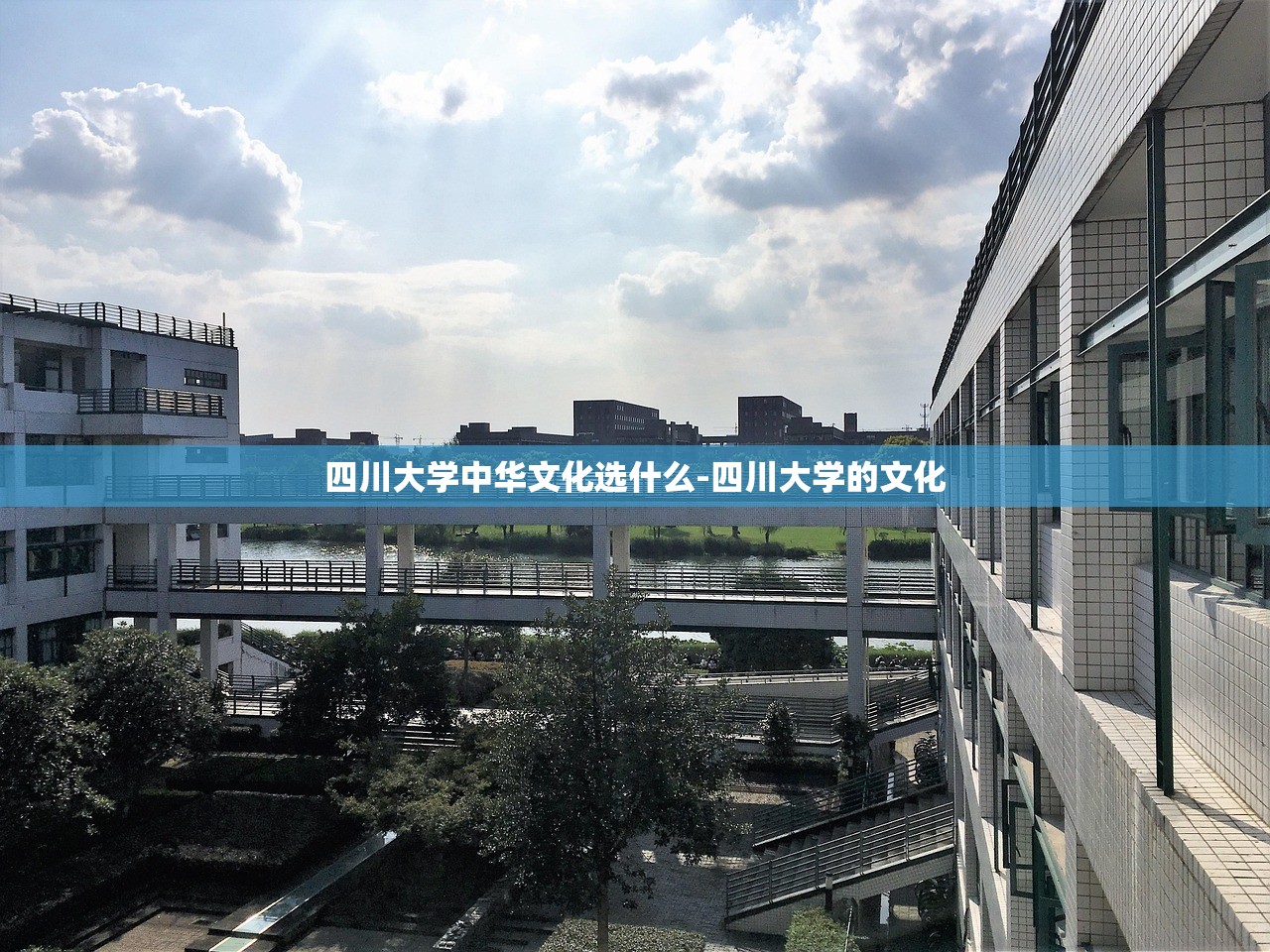 四川大学中华文化选什么-四川大学的文化