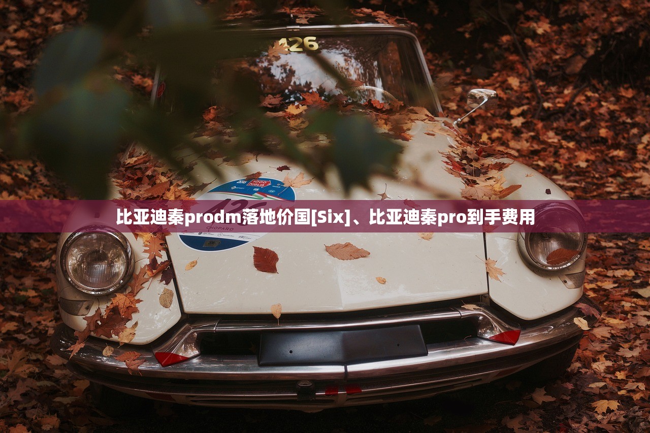 比亚迪秦prodm落地价国[Six]、比亚迪秦pro到手费用