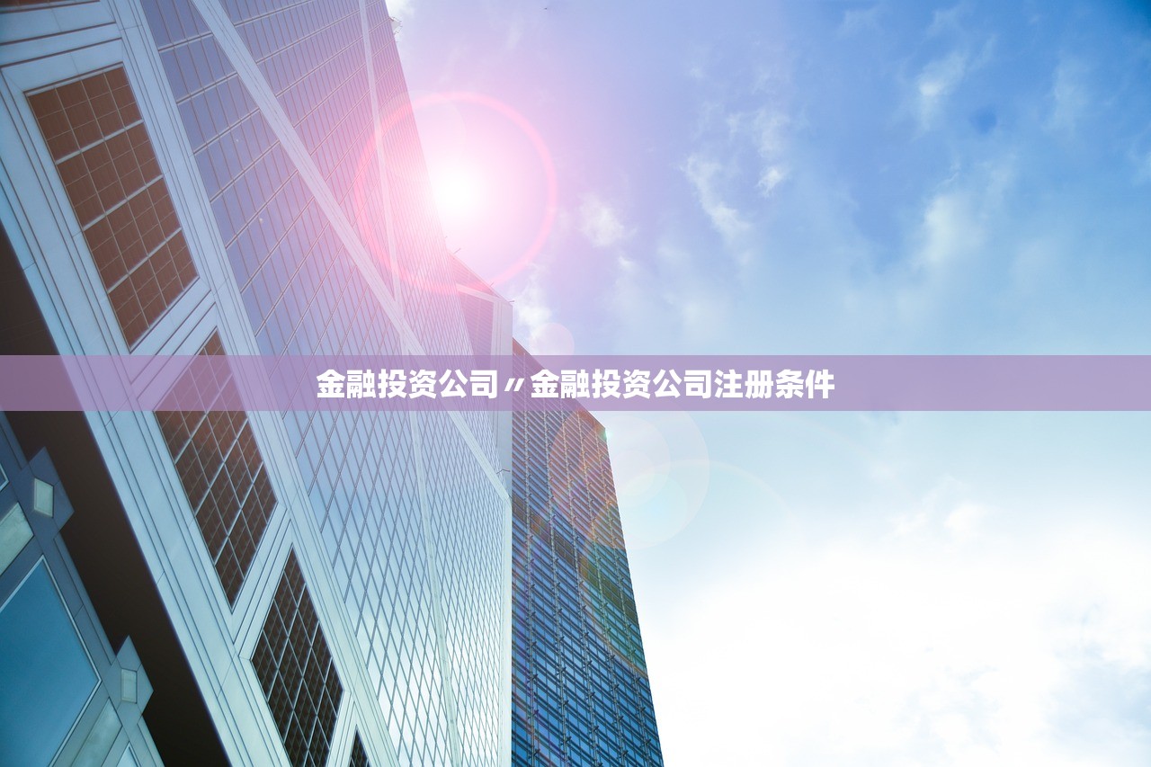 金融投资公司〃金融投资公司注册条件