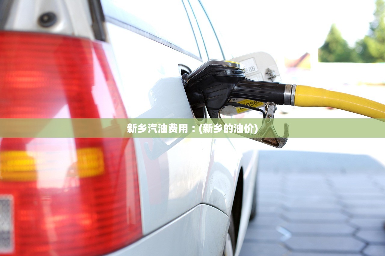 新乡汽油费用︰(新乡的油价)