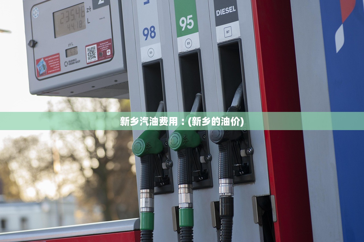 新乡汽油费用︰(新乡的油价)