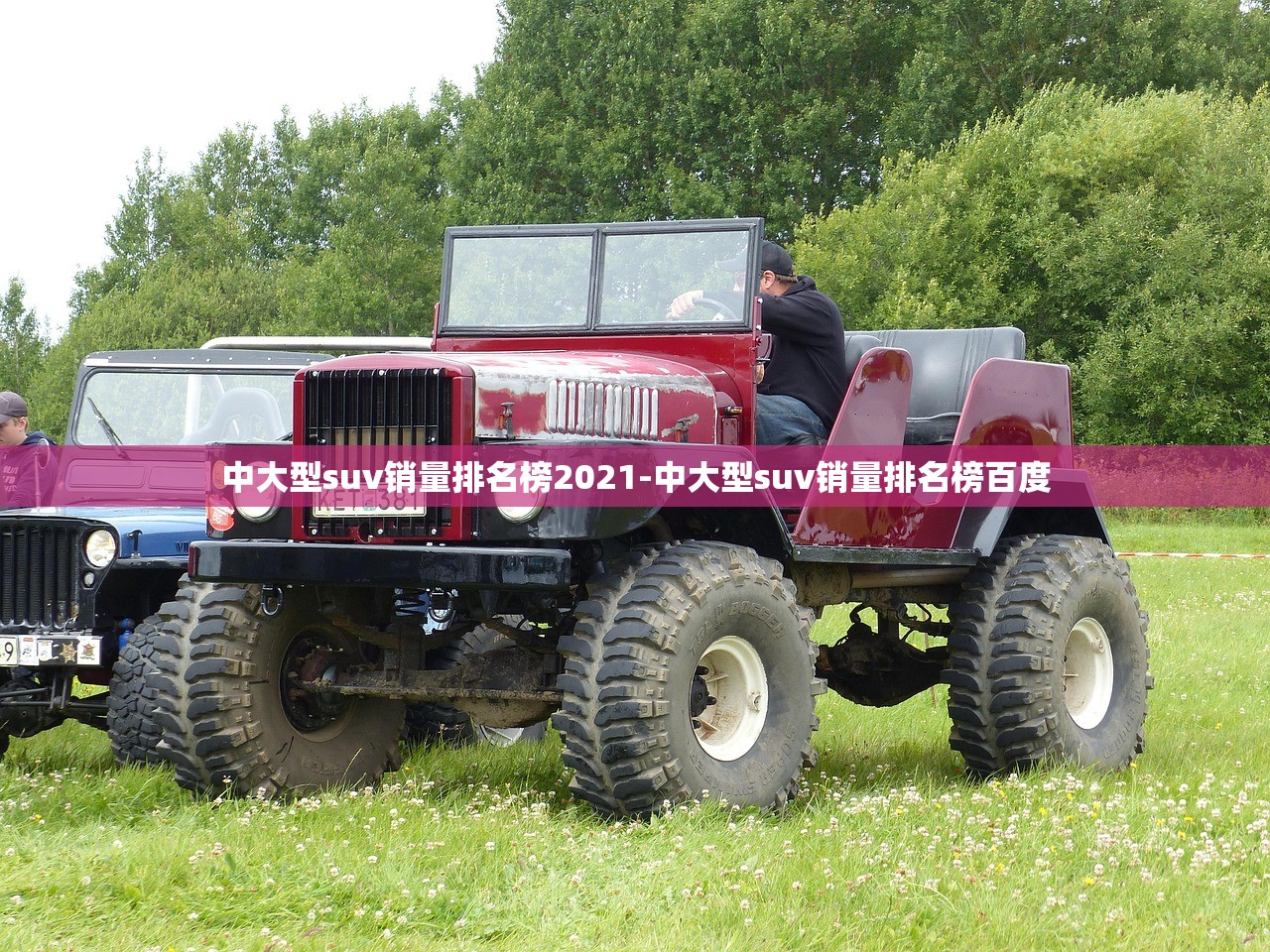 中大型suv销量排名榜2021-中大型suv销量排名榜百度