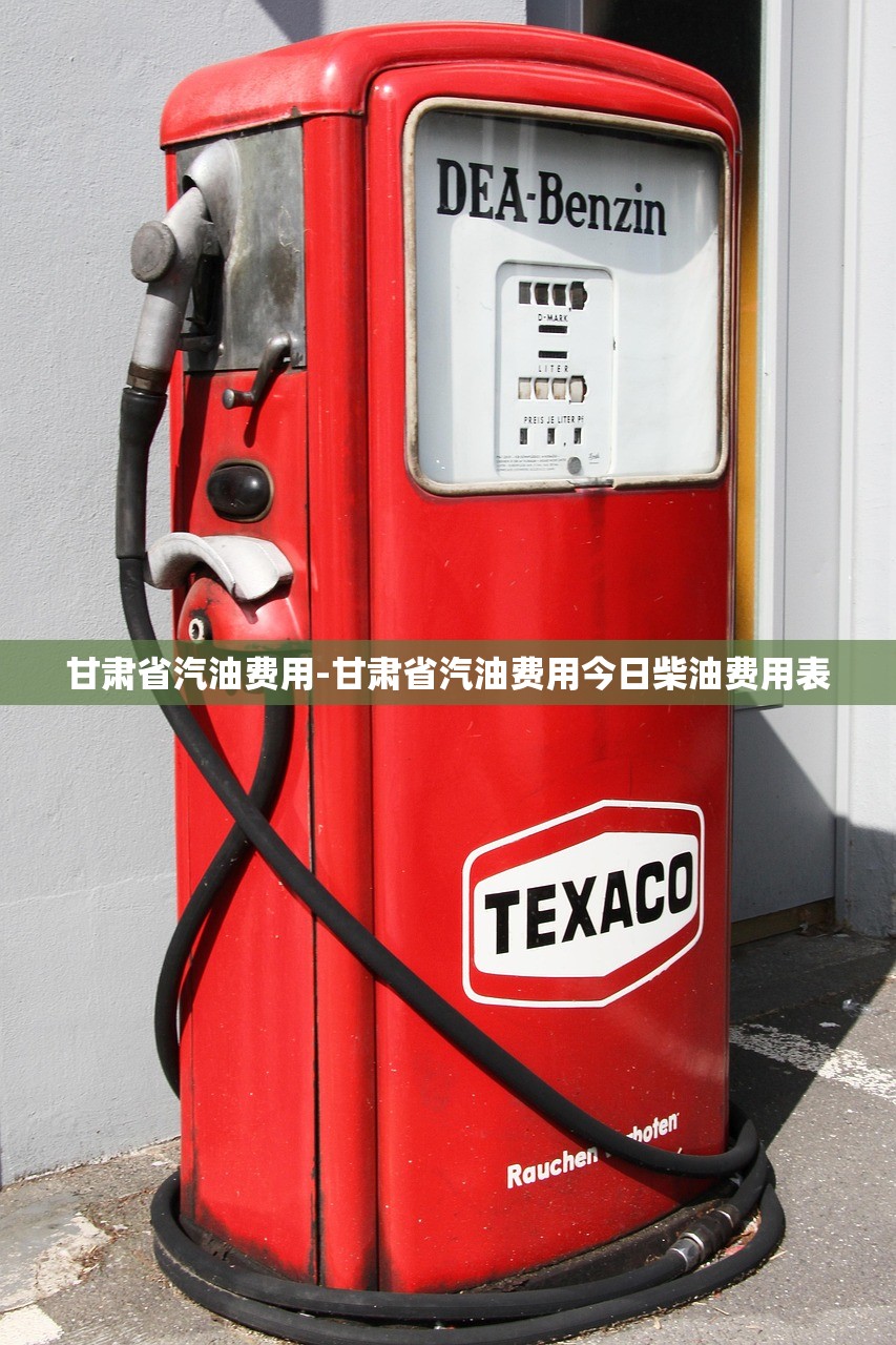 甘肃省汽油费用-甘肃省汽油费用今日柴油费用表