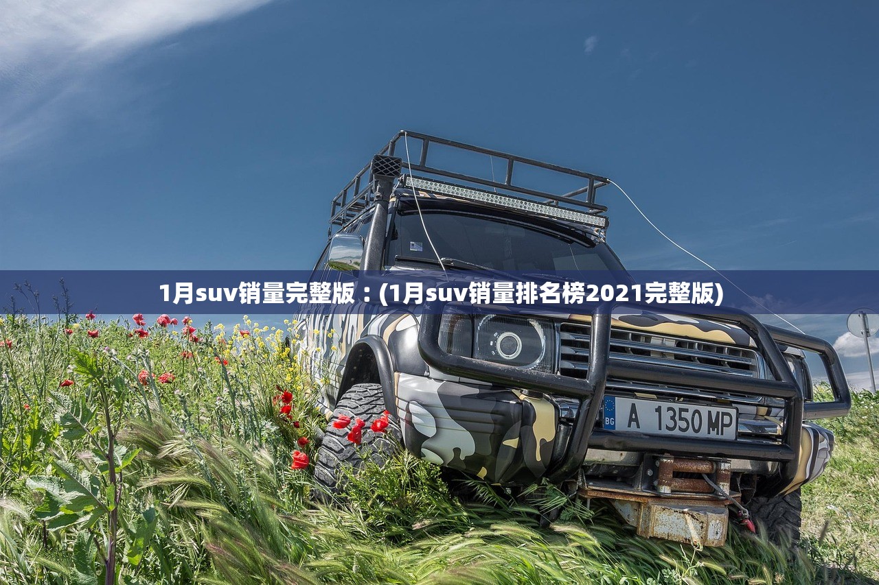 1月suv销量完整版︰(1月suv销量排名榜2021完整版)