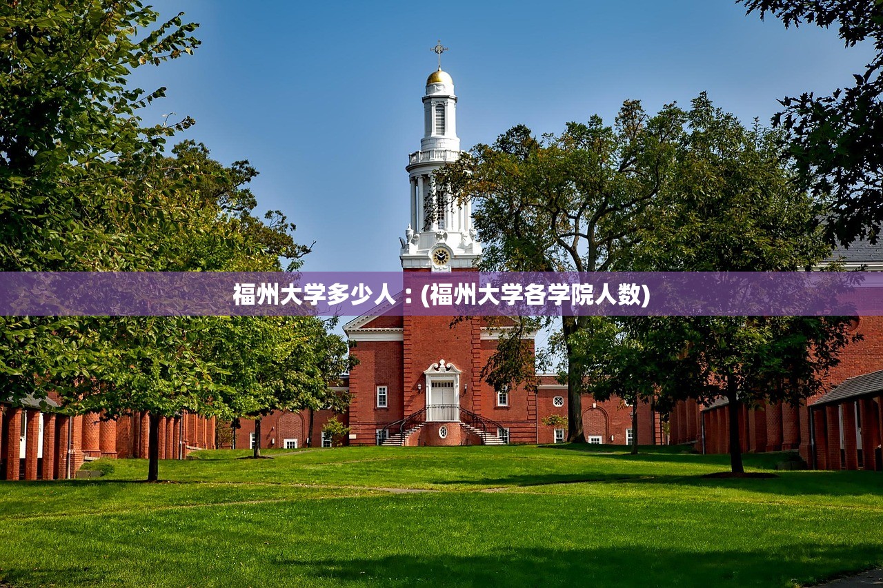 福州大学多少人︰(福州大学各学院人数)