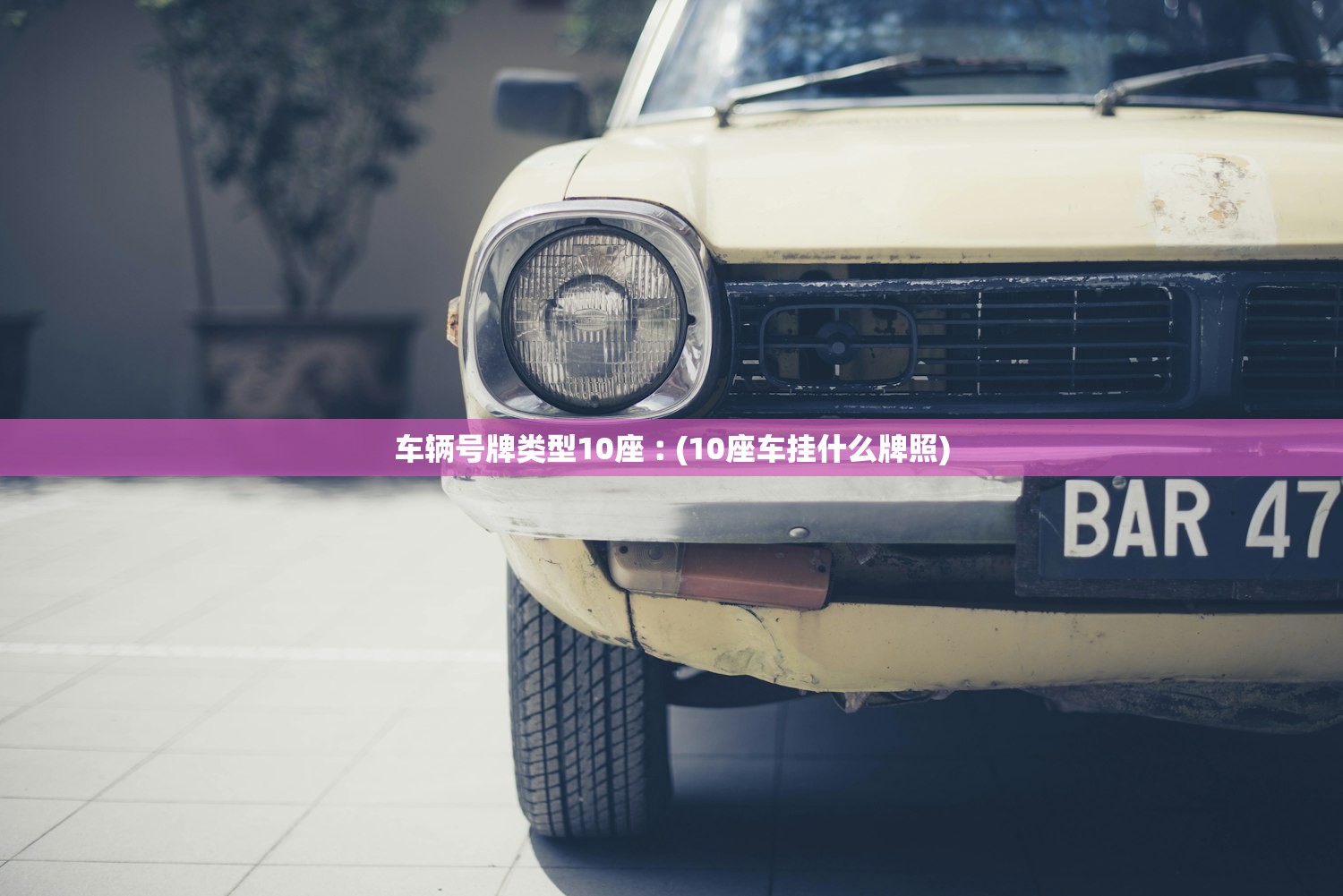车辆号牌类型10座︰(10座车挂什么牌照)