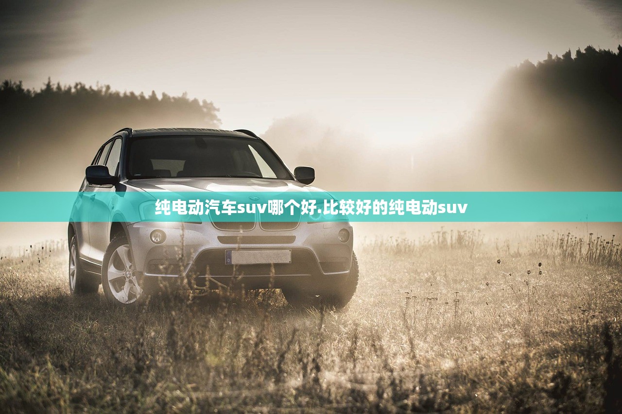 纯电动汽车suv哪个好.比较好的纯电动suv