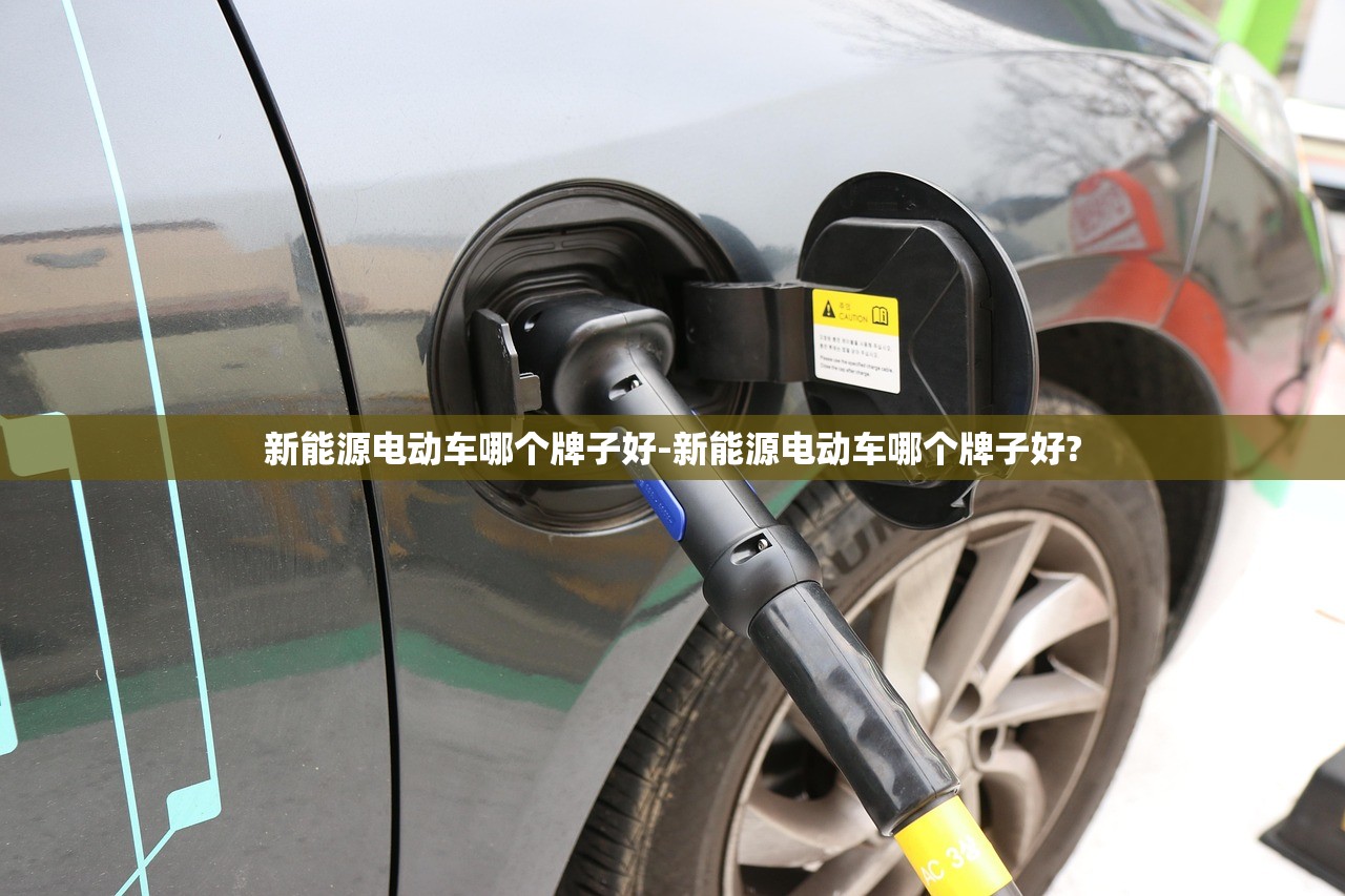 新能源电动车哪个牌子好-新能源电动车哪个牌子好?
