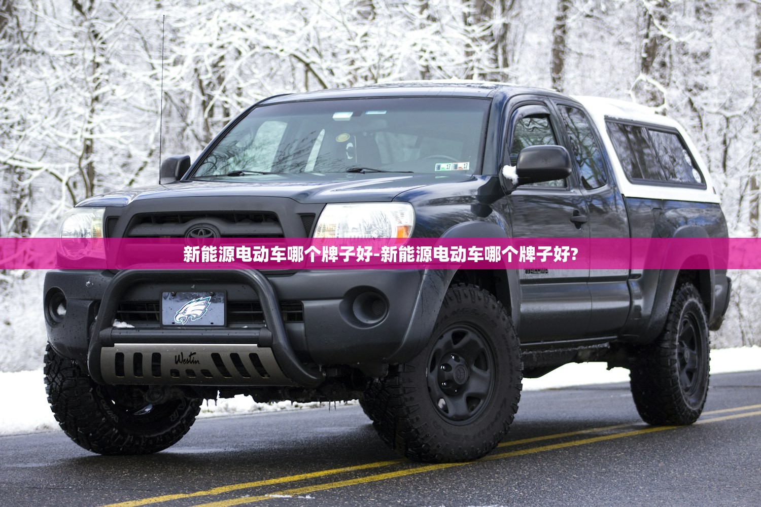 新能源电动车哪个牌子好-新能源电动车哪个牌子好?