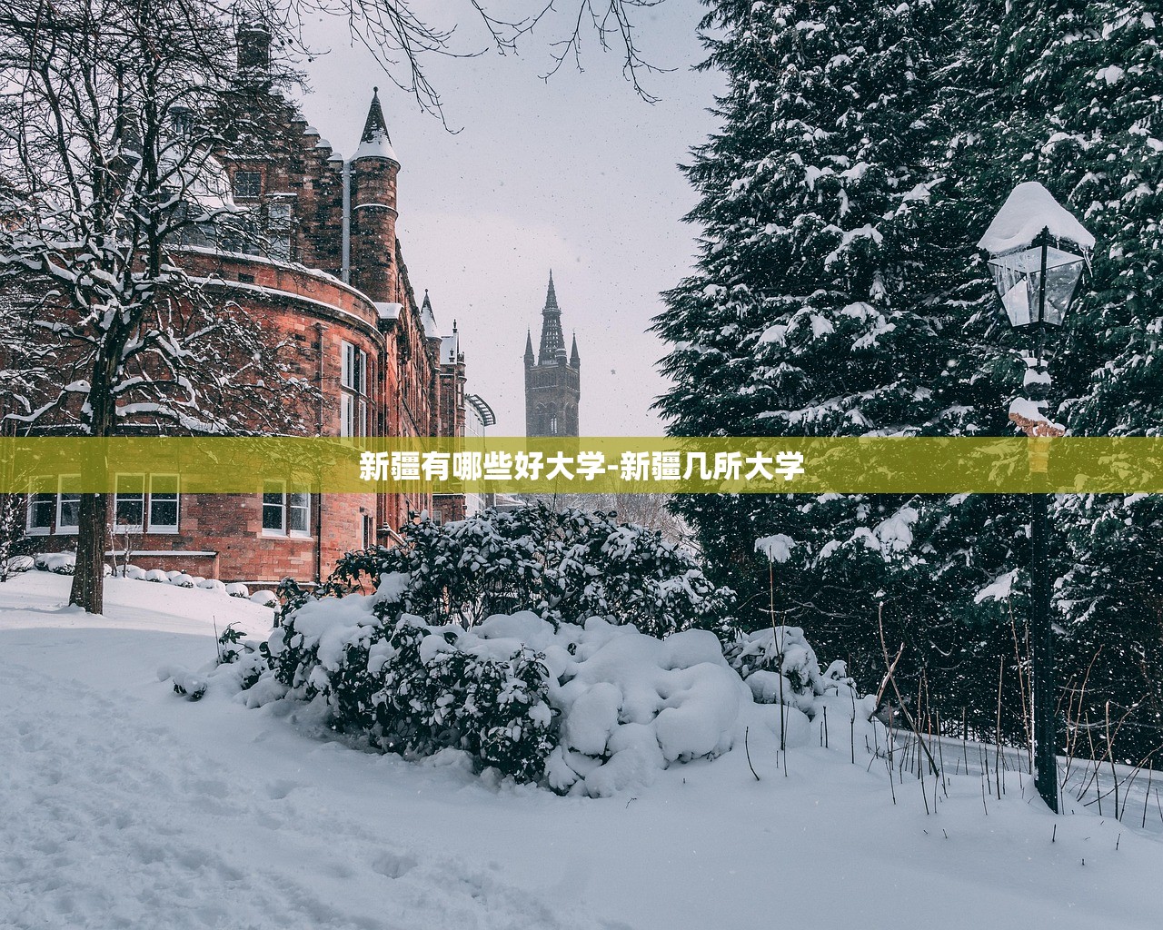 新疆有哪些好大学-新疆几所大学