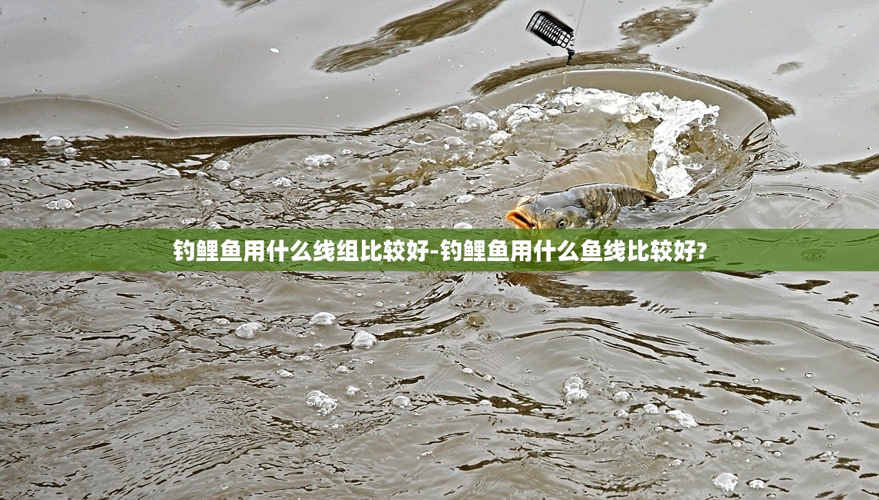 钓鲤鱼用什么线组比较好-钓鲤鱼用什么鱼线比较好?