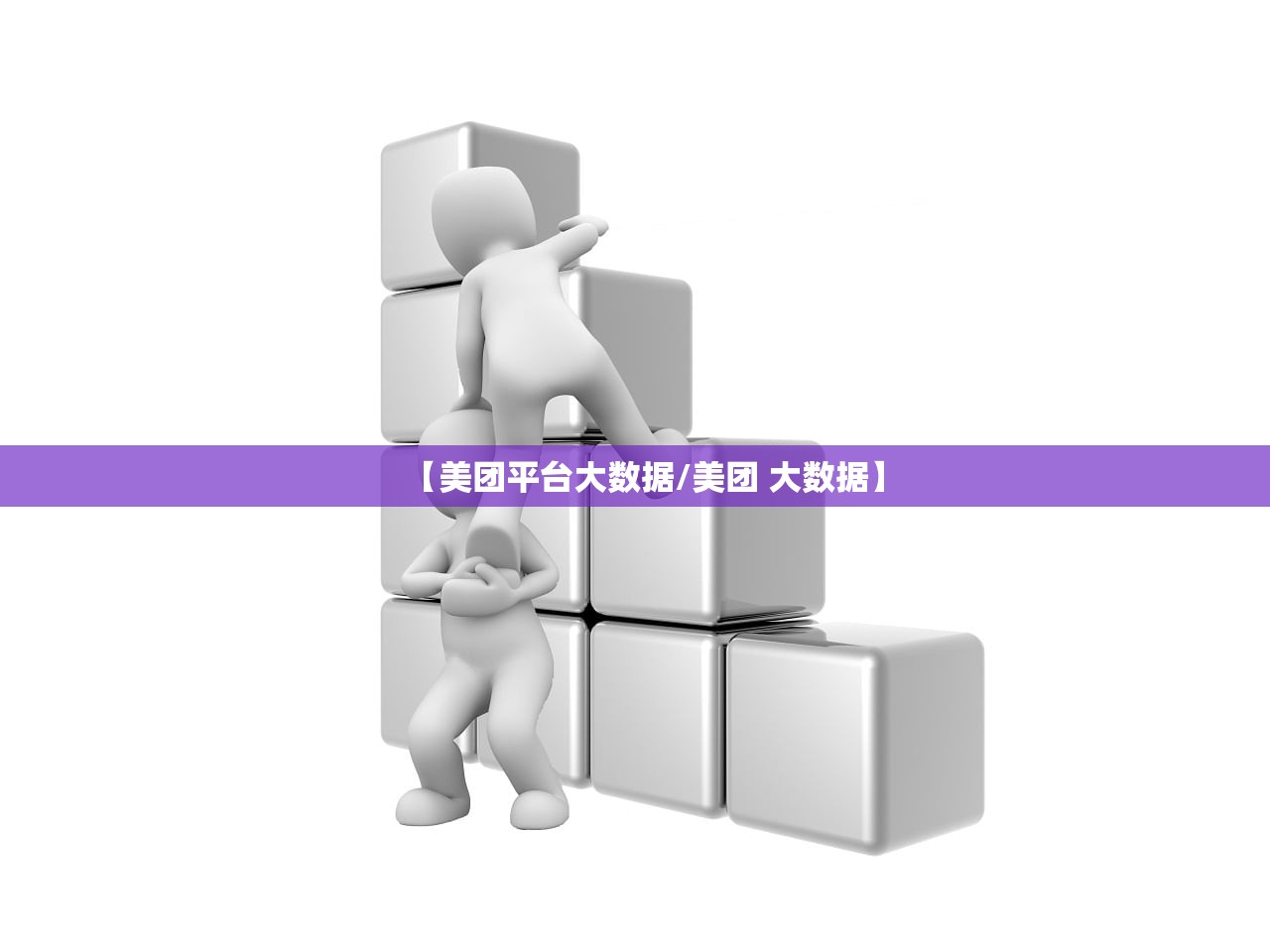 【美团平台大数据/美团 大数据】