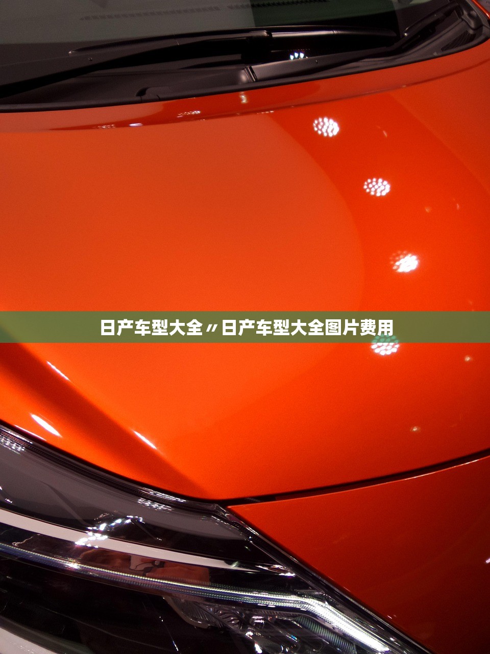 日产车型大全〃日产车型大全图片费用 日产车型大全〃日产车型大全图片费用
