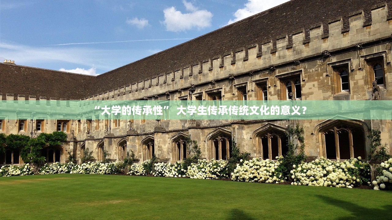 “大学的传承性” 大学生传承传统文化的意义？