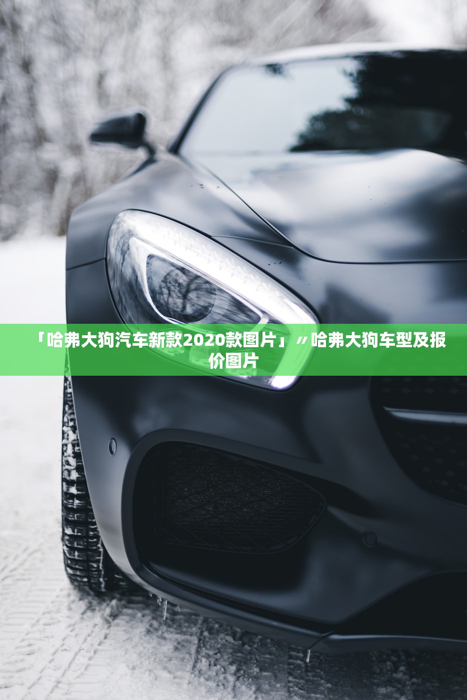 「哈弗大狗汽车新款2020款图片」〃哈弗大狗车型及报价图片