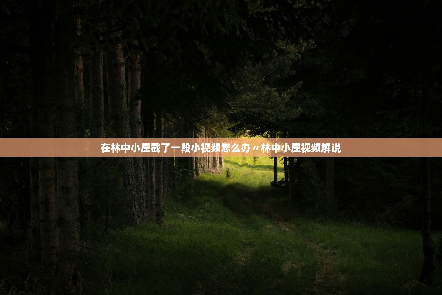 在林中小屋截了一段小视频怎么办〃林中小屋视频解说