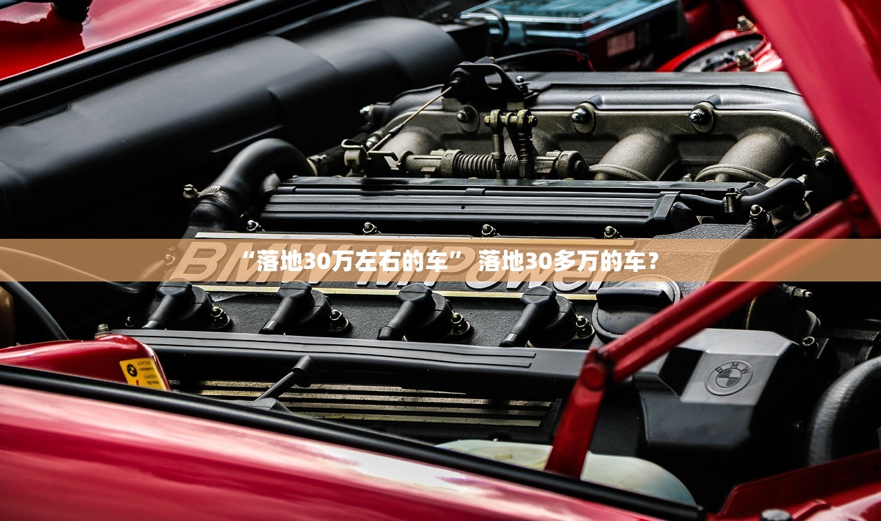 “落地30万左右的车	” 落地30多万的车？