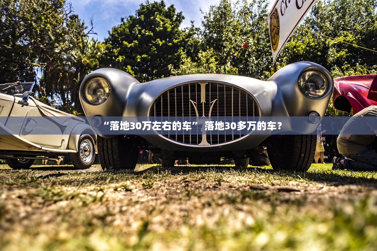 “落地30万左右的车	” 落地30多万的车？